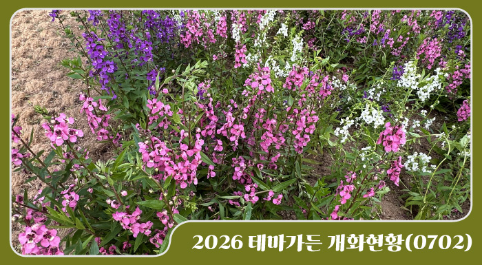 2026 테마가든 개화현황