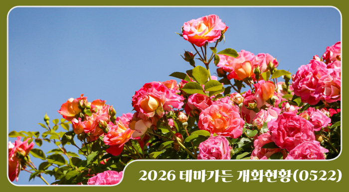 2026 테마가든 개화현황