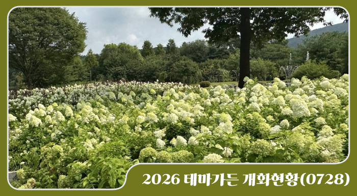 2026 테마가든 개화현황