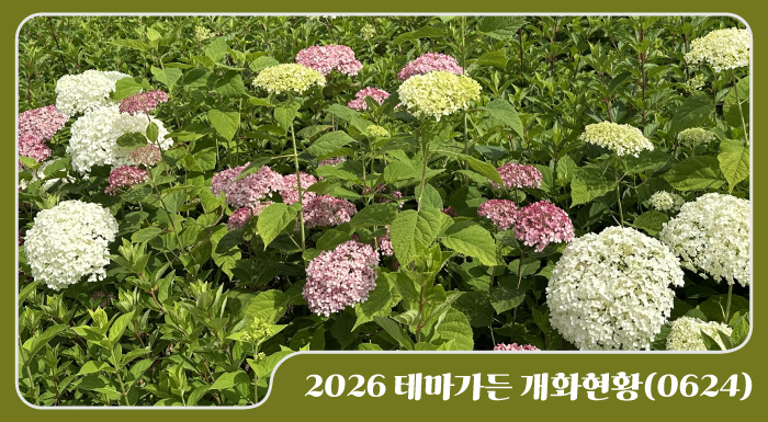 2026 테마가든 개화현황
