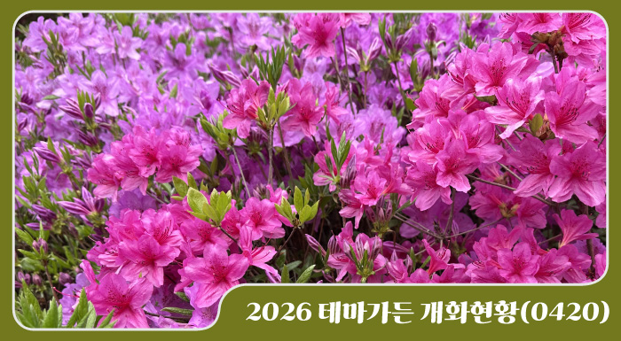 2026 테마가든 개화현황