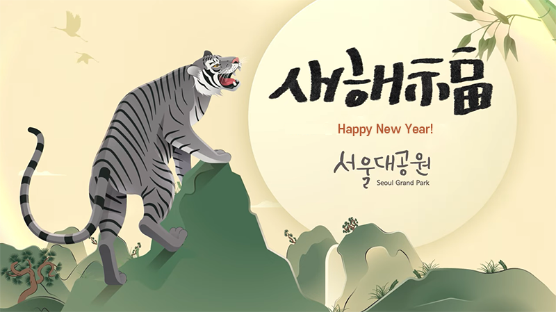 Happy New Year with the energy of a black tiger!  