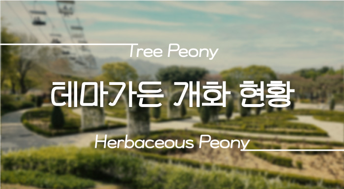 2025 테마가든 개화현황