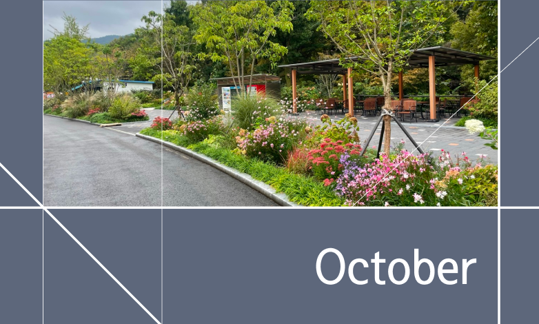 돌고래 이야기관 및 맹금사 개관! 이미지