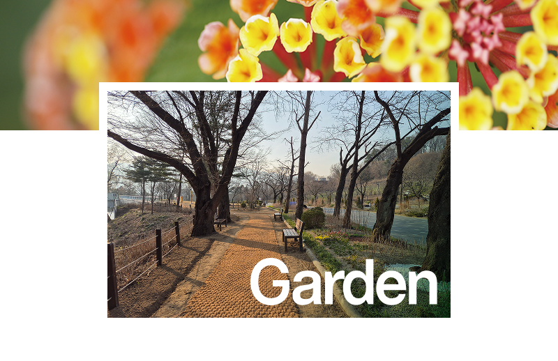 돌고래 이야기관 및 맹금사 개관! 이미지