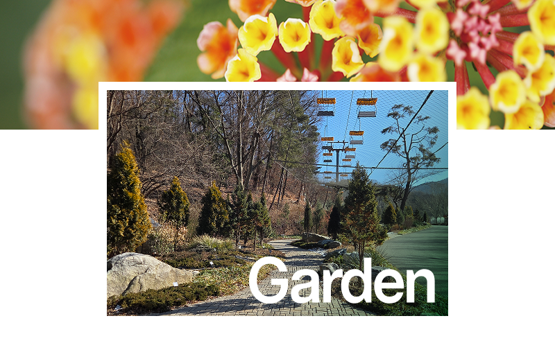 돌고래 이야기관 및 맹금사 개관! 이미지