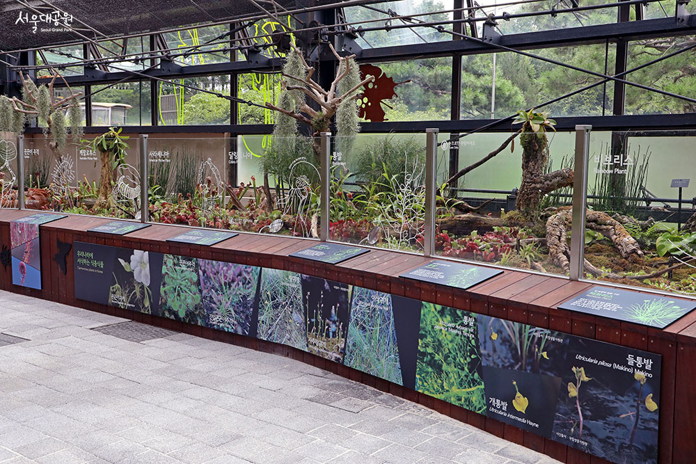 식충식물관