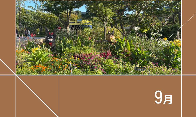 돌고래 이야기관 및 맹금사 개관! 이미지