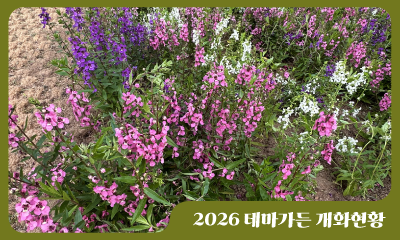 2026 테마가든 개화현황(7/10)