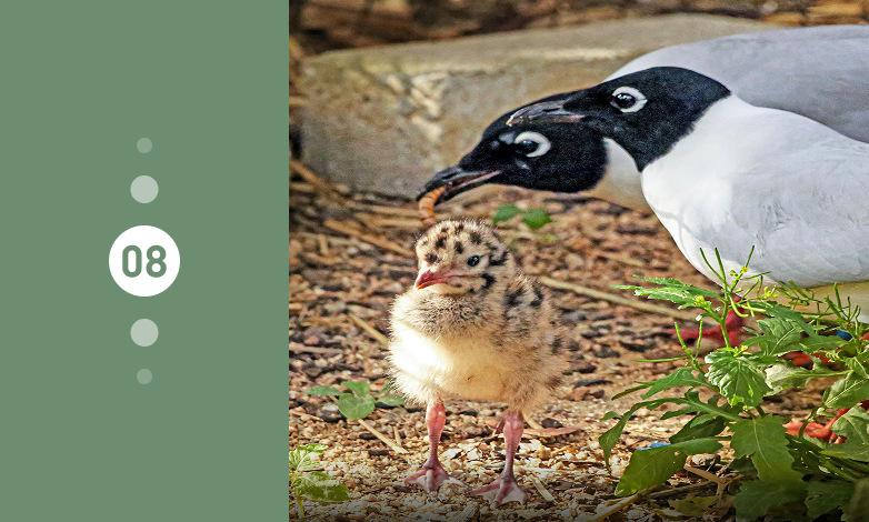 돌고래 이야기관 및 맹금사 개관! 이미지